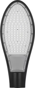 Светодиодный уличный консольный светильник Feron SP2927 100W 6400K 230V, черный