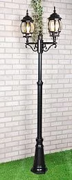 Уличный двухрожковый светильник на столбе IP33 Elektrostandard черный NLG99HL004