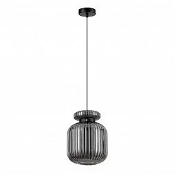 Подвесной светильник Odeon Light Pendant 5042/1B